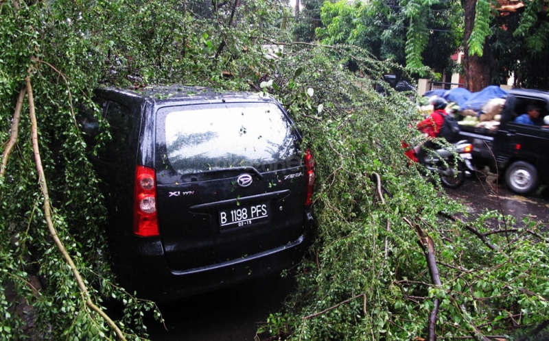 ini-panduannya-mobil-tertimpa-pohon-di-jakarta-bisa-klaim-asuransi