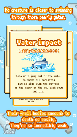 Mola Mola itu ikan apa sih? tambah ilmu sebentar yuk!