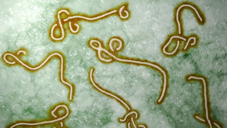 &#91;SANTAI NEWS&#93; Prototype obat EBOLA ditemukan Militer CINA