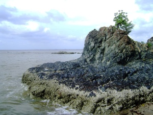 Keindahan Alam Kalimantan