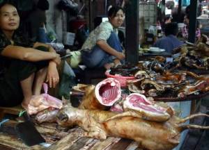 Penyembelihan Dan Perdagangan Daging Anjing Di China