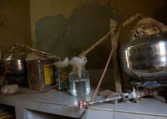 Gomata, minuman suci dari India