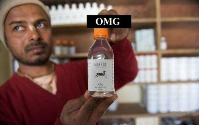 Gomata, minuman suci dari India