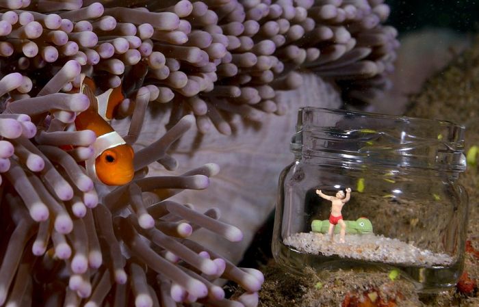 Kumpulan Foto Unik Dari Kehidupan Di Aquarium