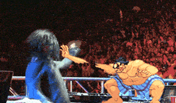 &#91;GIF&#93; karakter street fighter berulah