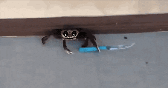 &#91;GIF&#93; ekspresi lucu 
