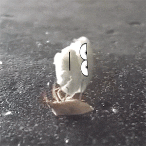&#91;GIF&#93; ekspresi lucu 