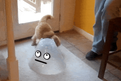&#91;GIF&#93; ekspresi lucu 