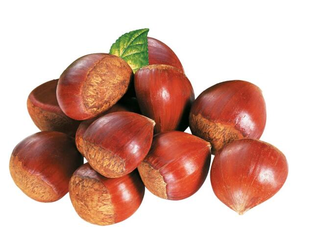 Ini dia 7 Kacang dan Manfaatnya yang Ajaib!