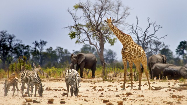 Jangan Lupa ke Sini Kalau Lagi di Zimbabwe!