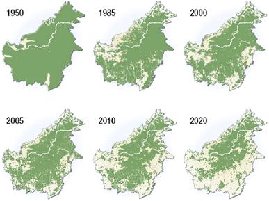 &#91;miris gan&#93;:::FOTO TERBARU HUTAN TROPIS INDONESIA ( FAKTA + PIC):::