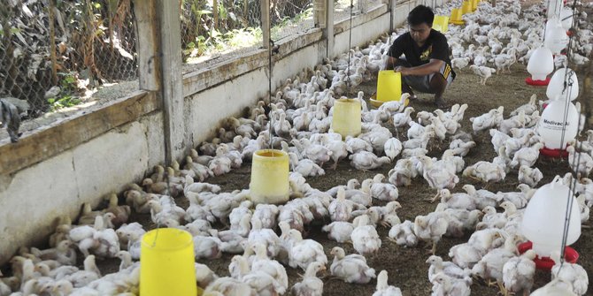 Bagaimana Jika Semua yang Ada di Bumi Menjadi Vegetarian?