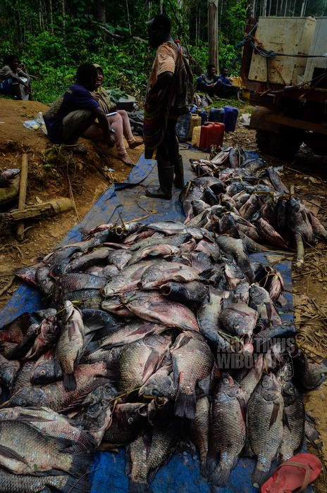 &#91;Melihat Papua dari Luar Perbatasan&#93; Asiki 27 September 2014: Pasar di Garis Batas