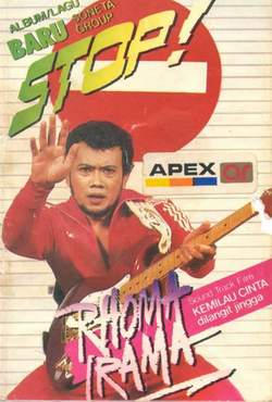 fungsi-kumis-pada-tubuh-kucing