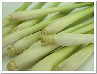 {serba 13} ====13 kegunaan daun di INDONESIA====
