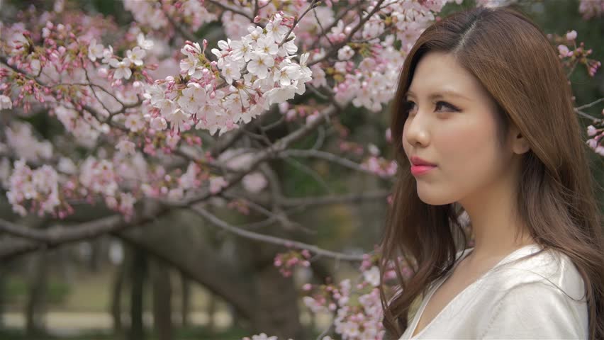 Wow! Sakura di 5 Taman di Jepang ini Bisa Mengalihkan Dunia Agan!