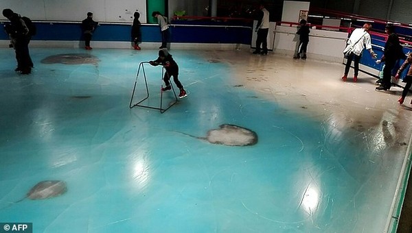 sadis-5000-ikan-mati-dibekukan-oleh-sebuah-arena-ice-skating-guna-menarik-pengunjung