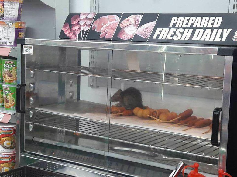 Hiii..! Viral Tikus Gemuk di Makanan Siap Saji Sevel Malaysia