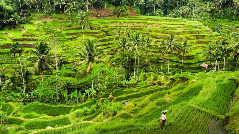Liburan Raja Salman di Bali Berakhir, Ini Destinasi yang Dikunjungi