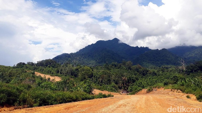 siap-siap-orang-kalimantan-bisa-rasakan-pembangunan-seperti-jawa