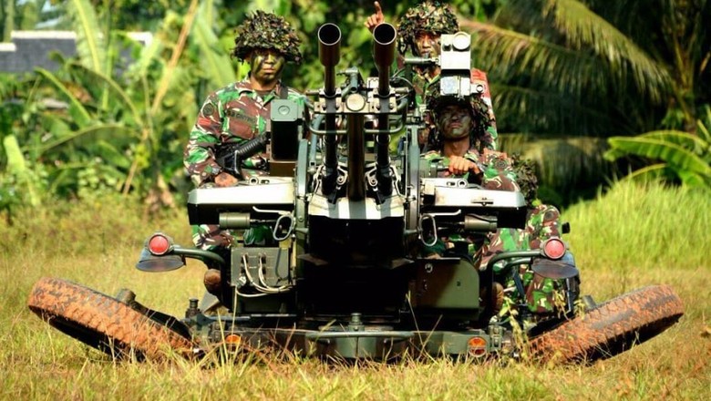Melihat Spesifikasi Meriam Buatan China yang Tewaskan Prajurit TNI