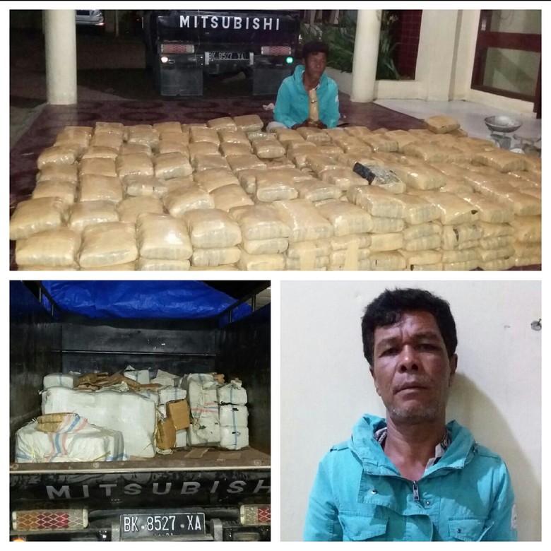angkut-ganja-480-kg-petani-di-aceh-ditangkap