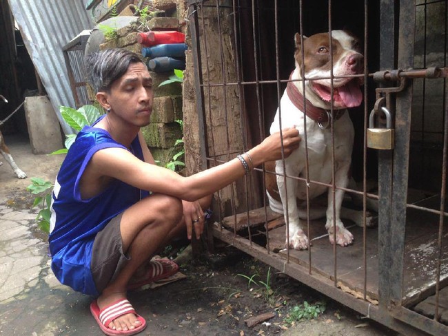 Sejak Dikarantina Perilaku Anjing Penggigit Ramiza Lebih Banya Diam