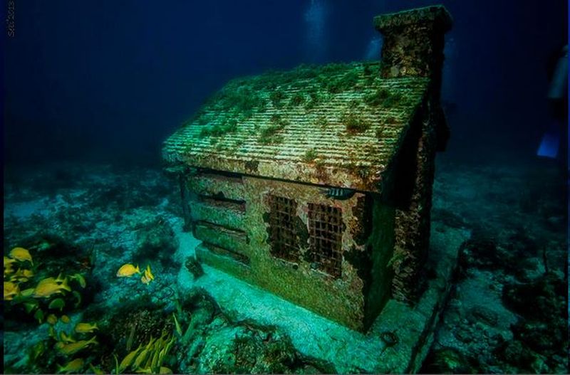 Foto: Laut yang Berisi 500 patung