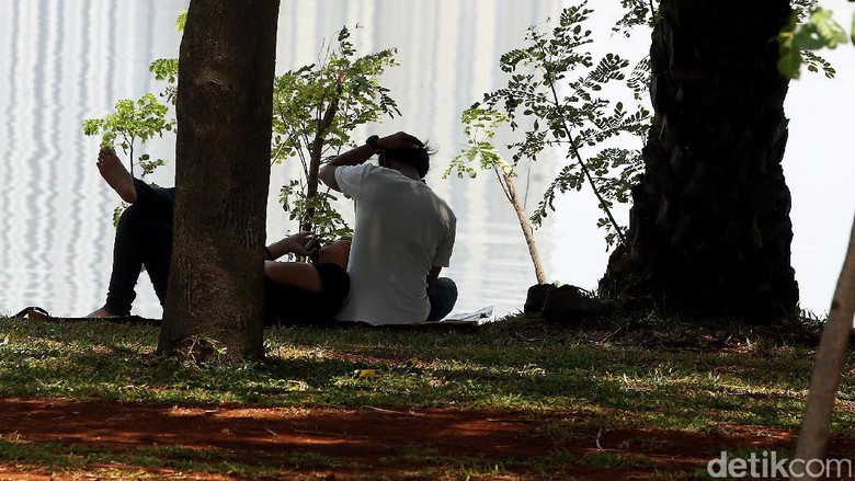 Duh, Taman Kota Waduk Pluit Kini Jadi Tempat Pacaran