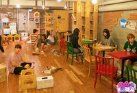 Kalau ke Seoul Bisa Makan di Kafe Ini Sambil Main dengan Rakun dan Domba