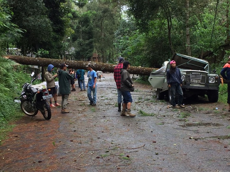 Lembang Di Terjang Badai, Pohon Menimpa Mobil 