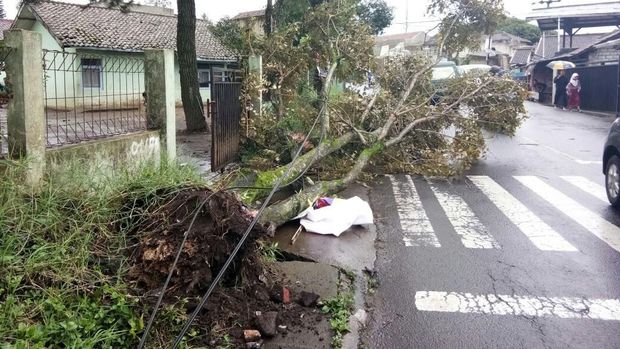 Lembang Di Terjang Badai, Pohon Menimpa Mobil 