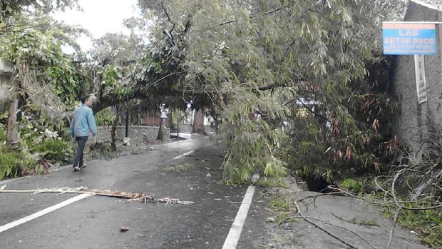 Lembang Di Terjang Badai, Pohon Menimpa Mobil 