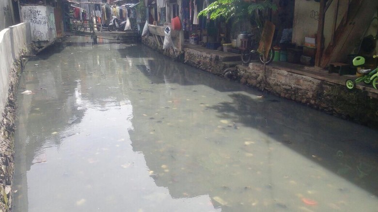 Before-After Kali Jati Bunder yang Dibersihkan Pasukan Oranye