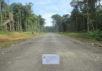 Keren! Trans Papua Tembus Hutan, di Antara Bukit dan Laut