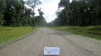 Keren! Trans Papua Tembus Hutan, di Antara Bukit dan Laut