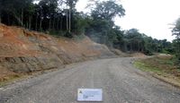 Keren! Trans Papua Tembus Hutan, di Antara Bukit dan Laut