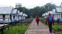 Buka Akses ke Asmat, Jokowi Bangun 2 Ruas Jalan Trans Papua