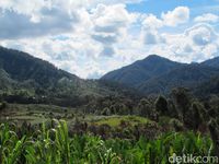 &#91;COC Reg. Papua&#93; Sungai yang Mengalir ke Atas dan Fakta Menakjubkan Carstensz! 