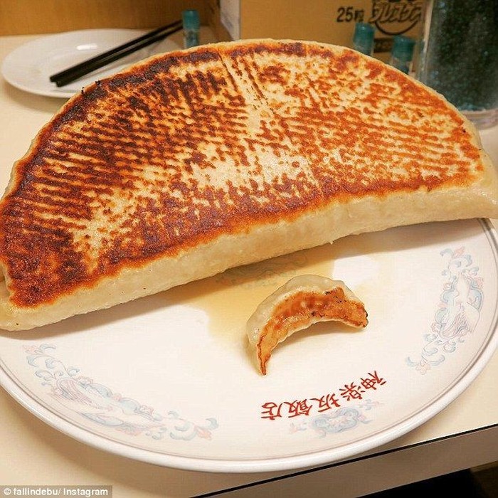 Wah! Siapa Berani Coba Makan Gyoza Seberat 2.5 Kg?