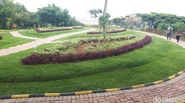 Cantik! Siapa Sangka Taman Hijau Ini Dulunya Lahan Tambang Batu Kapur