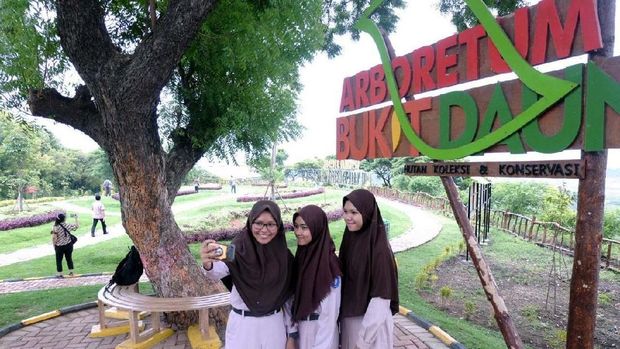 Cantik! Siapa Sangka Taman Hijau Ini Dulunya Lahan Tambang Batu Kapur