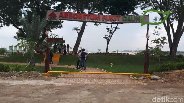 Cantik! Siapa Sangka Taman Hijau Ini Dulunya Lahan Tambang Batu Kapur