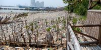 Sandiaga Janji Bersihkan Lautan Sampah di Teluk Jakarta