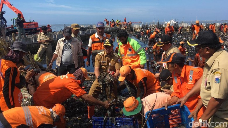 Momen Anies Bersihkan Lautan Sampah Teluk Jakarta Pakai Tangan