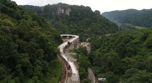 Keren Banget! Jalan Layang Ini Dibangun Meliuk di Antara Hutan