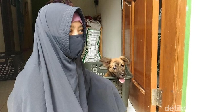 Hesti Wanita Bercadar Pemelihara 70 Anjing Ditolak Warga, Polisi Memediasi