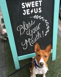 Pakai Nama 'Sweet Jesus' Gerai Es krim Ini Dikecam Umat Kristen Kanada