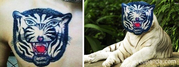 Jangan Coba-Coba Bikin Tatto dengan Badget Minim Kalau Nggak Mau Hasilnya Gini Gan!