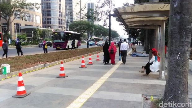 Halte di Jl Sudirman Terhalang Rumput, Bagaimana Cara Naik Bus?